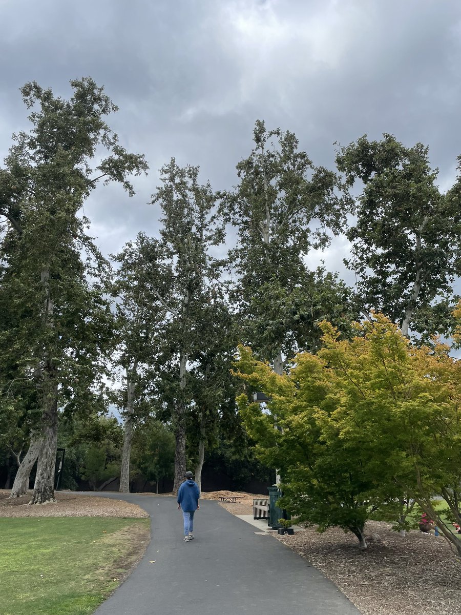 sabaanees's tweet photo. taking a tuesday morning walk in the park with my grandmother was the best life hack 🥹 https://t.co/p6b1JO8WIL