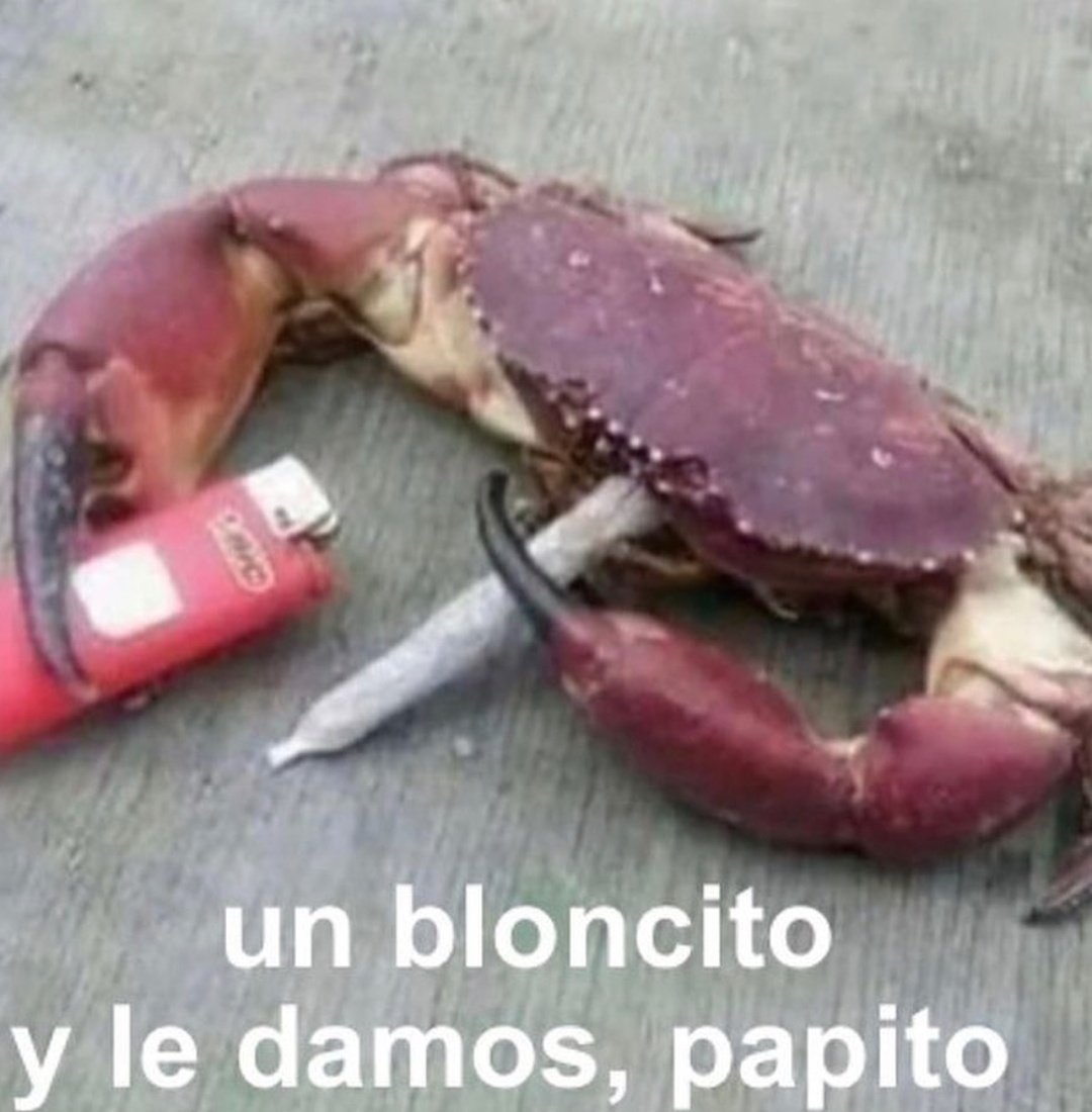 Rolita (@_onerolita) on Twitter photo 