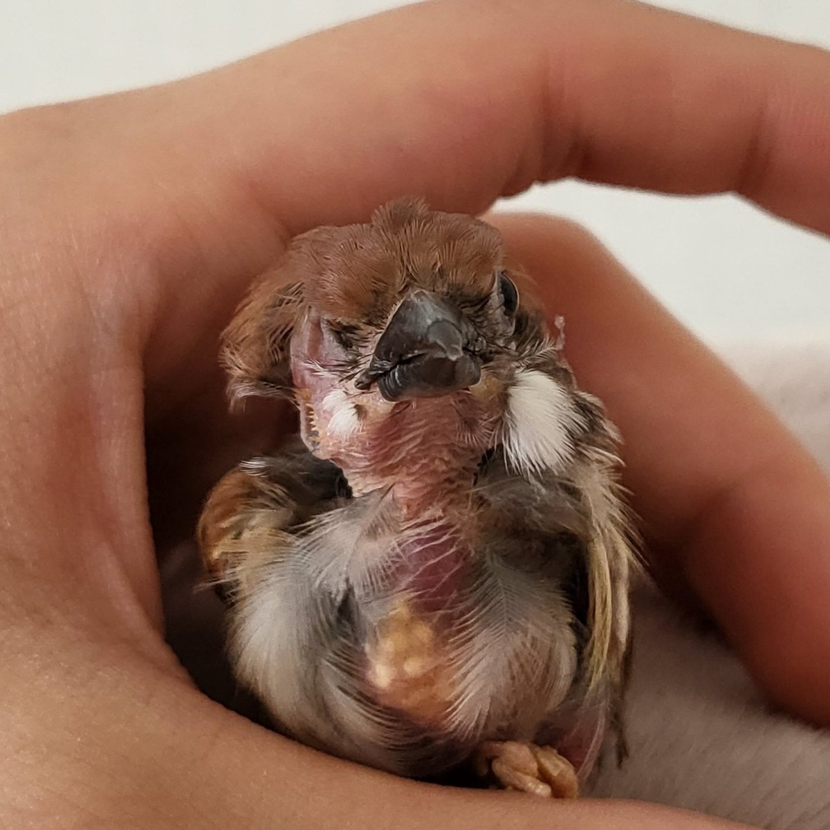 3년전                                                    오늘