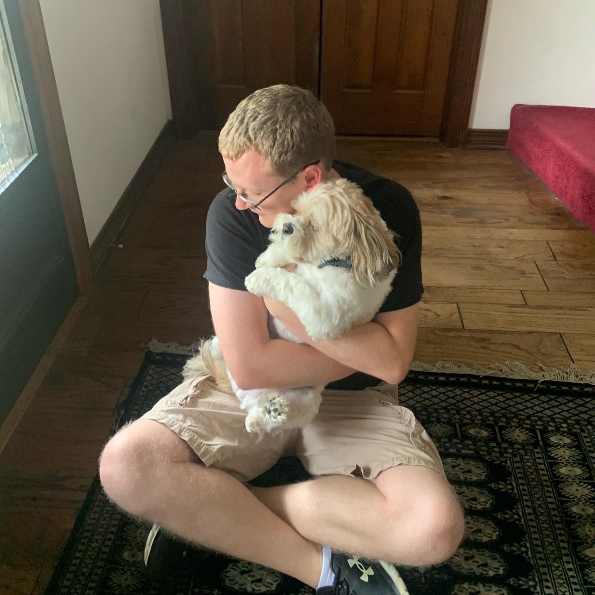 When your buddy comes to visit🥰 
#shihtzu #Love #cute #puppylove