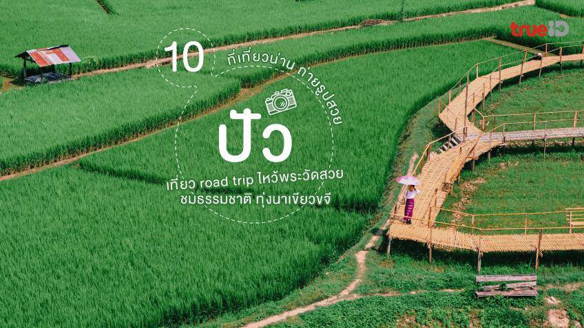 LaPaiTiew's tweet photo. เสน่ห์ของ #ปัว นอกจากจะมีธรรมชาติ และทุ่งนาสีเขียวให้ไปถ่ายรูปสวยๆ แล้ว ยังมีทั้งวัดสวย และวิถีชุมชนไทลื้ออันแสนทรงเสน่ห์ให้เราไปสัมผัสด้วย 
🍃 ดูพิกัดเต็มๆ ได้ที่นี่ https://t.co/rfriOMfYn9

#ลาไปเที่ยว #น่าน https://t.co/MP79hnSTAX