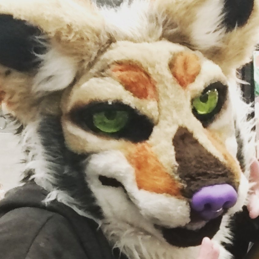 deadland_yote's tweet photo. awoo? https://t.co/EEX7iTFu56
