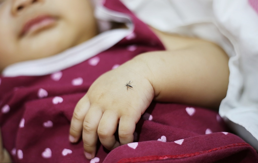 CDscitech's tweet image. Chinese scientists have discovered a new way to curb the spread of #mosquito-borne diseases: by taking a #vitamin A derivative. How does it work? Will it work on humans? Check out this episode of #Science Talk to find out.  chinadaily.com.cn/a/202207/04/WS…