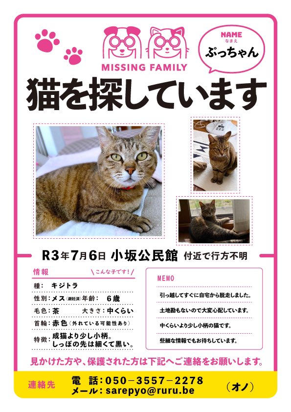beppuneko's tweet photo. 今日で1年です。まだ諦めていません。大分、別府、日出の皆様。似たようなキジ猫を見かけましたら、どうぞご一報くださいませ。よろしくお願い致します。
#別府 ＃猫 #日出 ＃迷子猫 #ノラ猫 #大分 #猫探し #地域猫 #亀川 #保護猫 https://t.co/vbXcgF36S0