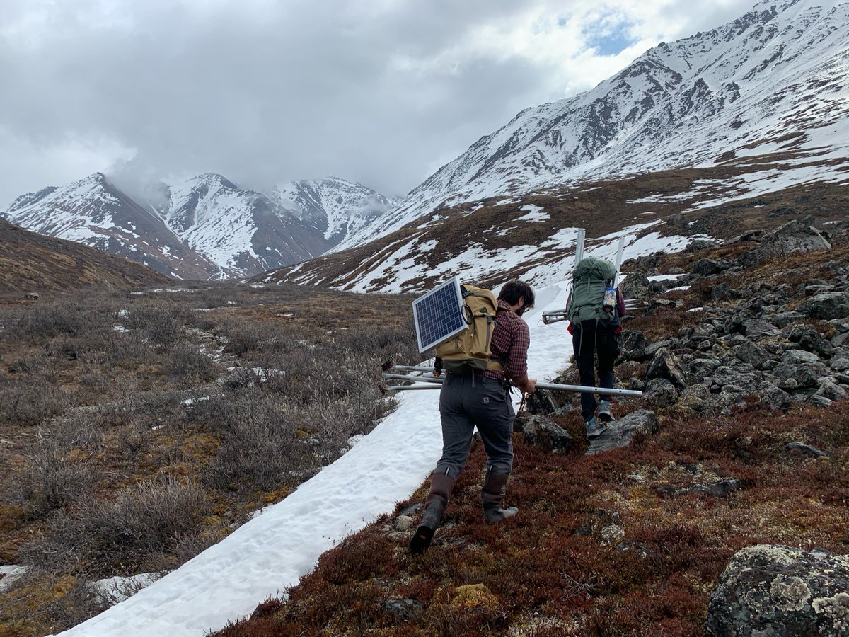 abigail_rec's tweet photo. Day 47 in the Arctic: The #RIOS team has syringe filtered ~400 liters of water, placed over 40 sensors throughout 5 watersheds, and 5/7 team members have already topped their waders. Data not available for number of field Snickers consumed, but can imagine it's embarrassing. https://t.co/xR9gOl7HL7