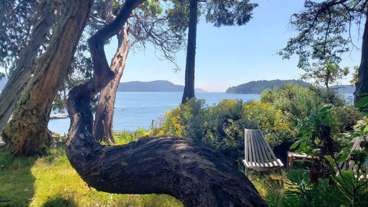 Caroline Fox tweet media