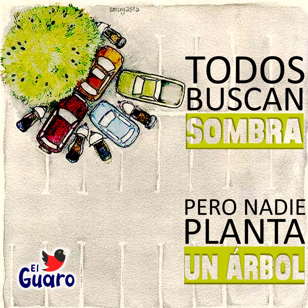 BQTO3001's tweet photo. Alguien está sentado en la sombra de un árbol porque alguien lo plantó hace mucho tiempo — Warren Buffett

#5Jul 
#Felizmartes 
#Barquisimeto https://t.co/i63RmcBtpv