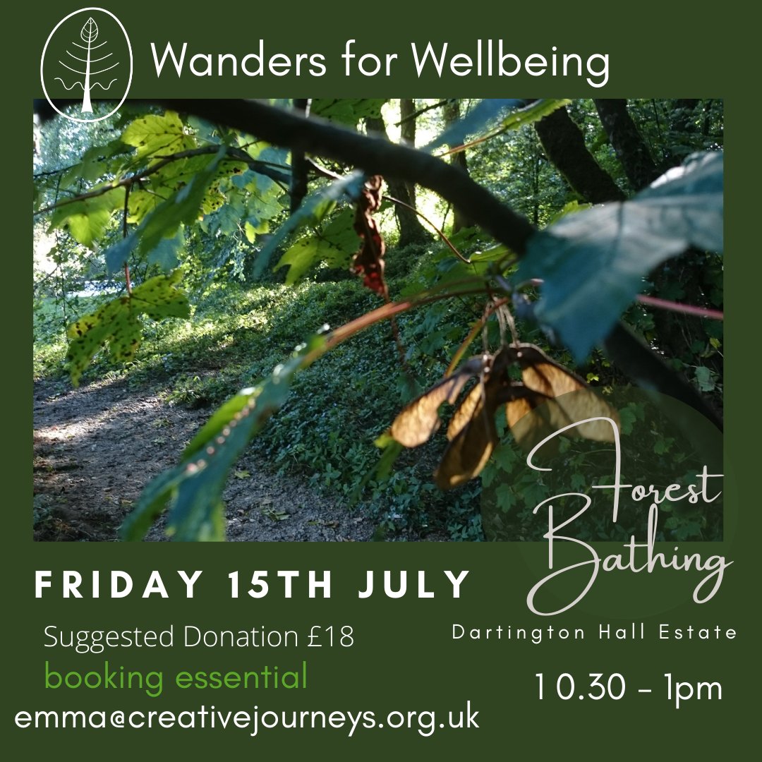 creative journeys tweet media