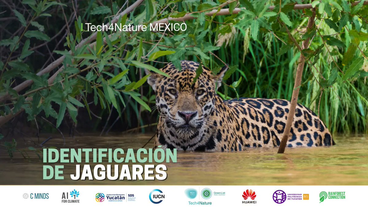 AI for Climate tweet media