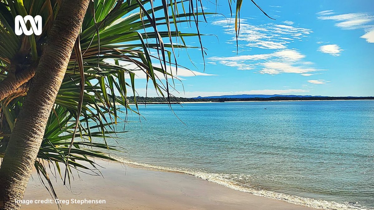 Keen to stay across all the news, fun and goss from around the #sunshinecoast no matter where you are in the world? You can do that here 👉ab.co/3yLS3Gw &amp; select ABC Sunshine Coast 👌