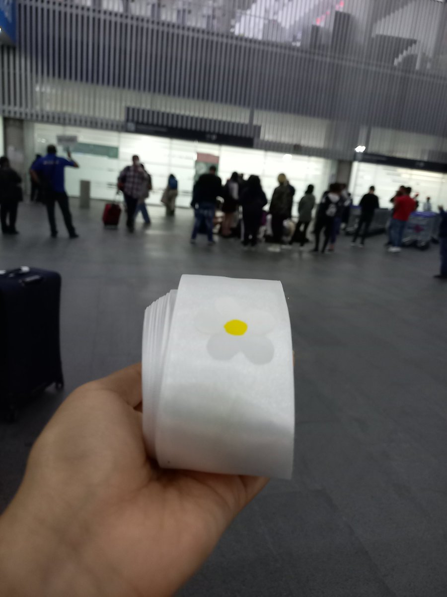 TFN_BRASIL's tweet photo. Algumas fotos das Edelweiss no aeroporto aguardando pela chegada dos meninos 🥺

T1419 EN MÉXICO
#WHEN_THE_SUN_GOES_DOWN 
#T1419_IN_MEXICO #T1419 https://t.co/YHKLwHVUZW