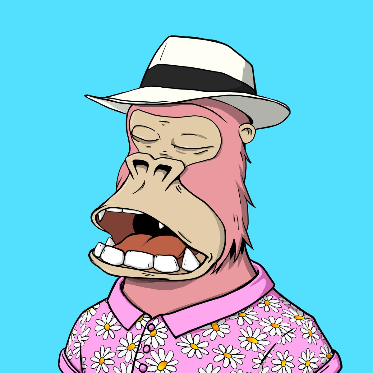 OGCoolGuy's tweet photo. Hey everyone just bought a new @ChilledKongs Check him out! Kong ID 2425 

#chilledkongs #kongs #nfts #nft #cnft #kongfollowkong #kongfamily #cardano #cnfts #crypto https://t.co/Bl0ivFFMv5