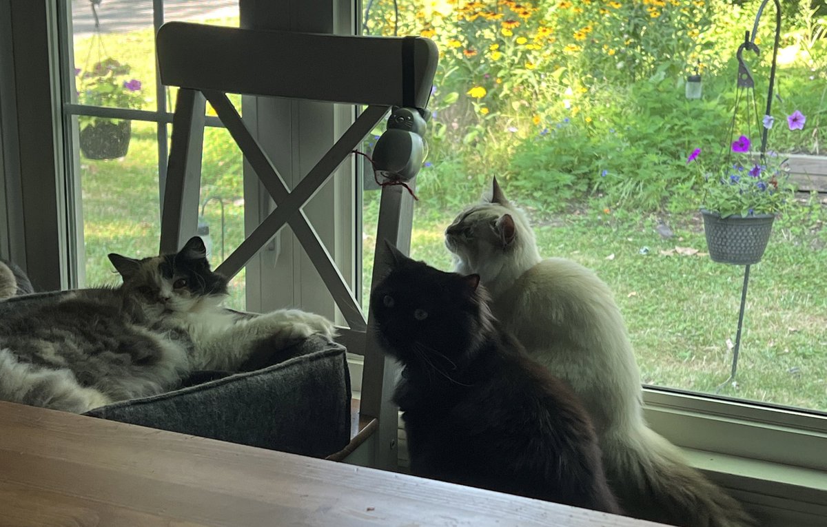 <a href="/relicofthepast/">Relic of the Past Podcast</a> <a href="/PenanceRPG/">Penance RPG 🐉 🏳️‍🌈 🐀</a> <a href="/WebWitch81000/">👾 Nearly Blind Nut is Back?! 😹</a> <a href="/StackODice/">Stack 🌻 Dice</a> <a href="/AnitaBridges2/">Anita Bridges</a> <a href="/xb0shi3x/">Brandalf the Blonde</a> <a href="/tykashow/">🐋</a> <a href="/DeGustafson/">Derek Gustafson (he/him) is Catface Games</a> <a href="/ttjourneys/">The Tabletop Journeys Podcast</a> <a href="/pwp_dnd/">🪄Power Word: Play🔥</a> <a href="/adora_belleD/">🇬🇧🇳🇿</a> <a href="/Stories_bySarah/">Sarah Danielle</a> <a href="/NSFWActualPlay/">Not Safe For Wizards</a> @DangerDames @TheDice_Casters <a href="/brainytherpgcat/">Brainy The RPG Cat</a>