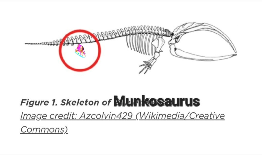 notesone's tweet image. Munko is more ancient and wiser than we all realize. I present to you, a secretly snatched document of the Munkosaurus with dope ass sneakers.

@munko @davidchoe