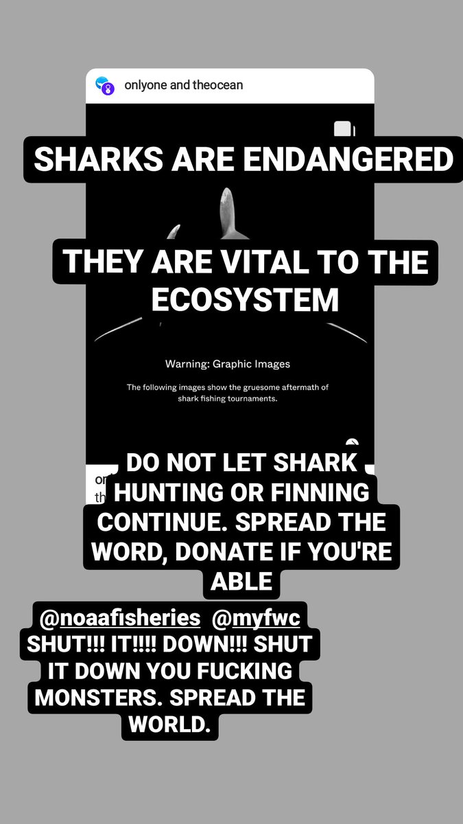 On July 9th in Jupiter, Florida many fishers and hunters will gather to hunt and kill sharks.
This is unfair, cruel, and killing our ecosystems and taking many innocent lives.
#EndSharkTournaments #EndSharkFinning #NoMoreFinning #SharksMatter #SaveOurSharks