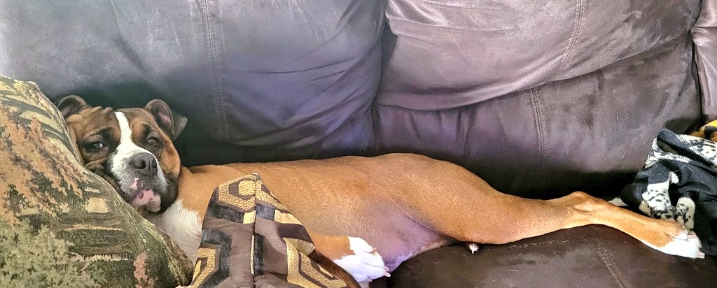 Timothy Neil tweet media