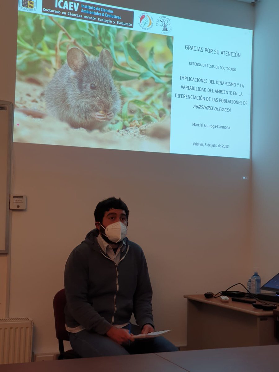GuillermoDElia's tweet photo. En la tarde de hoy Marcial @quiroga_carmona presentó, defendió y aprobó su tesis doctoral. #Abrothrix  Arriba!!  🐁🇻🇪🍻

@PostCienciaUACh 
@EcolEvolUach https://t.co/6Poopv5VEx
