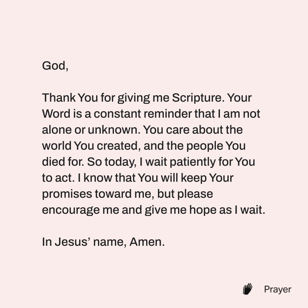 YouVersion Bible App tweet media