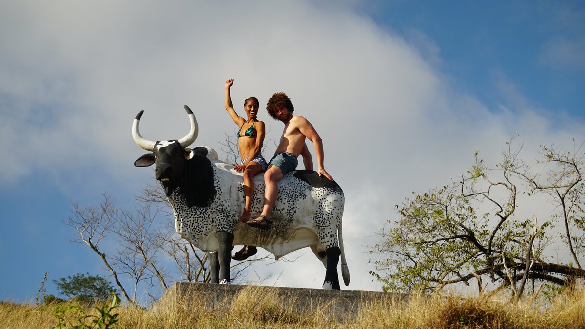 mataiblacklock's tweet photo. @creatornomaan @1221digitals @zoyayaseka @wespeakmodels @landonyost 😂 we only ride bulls around these parts 📈

📍#Nosara #CostaRica 
📸by @mayactucker 

🐂👀 Learn more about the legends of #Malacrianza here 👉 https://t.co/8yX0q7KRsR https://t.co/AHygrm1WmR