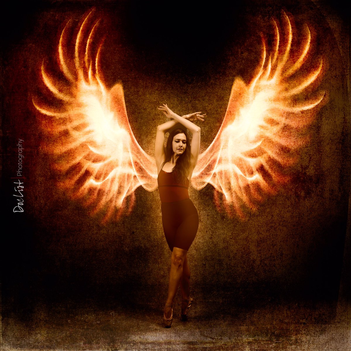 DocListPhoto's tweet image. What would life be without phoenix wings?