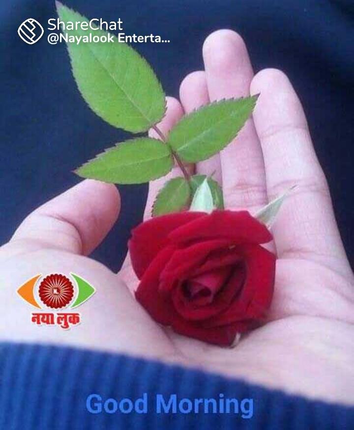 Pravesh90416738's tweet photo. Good morning https://t.co/ivfVLBqap2