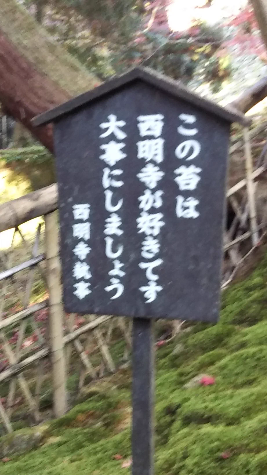 @EMON51983792 一方、滋賀県の湖東の寺は… 