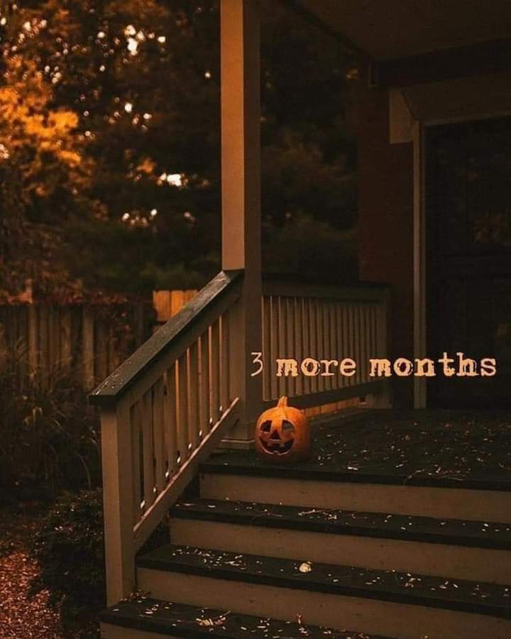 LiRoze's tweet photo. Me encanta la Navidad pero antes de eso, estoy contando los días para Halloween 🎃 https://t.co/RYeEoqcTRj