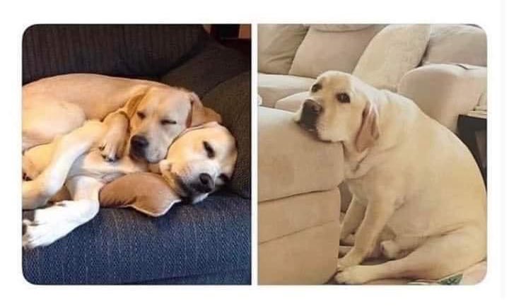Contigo     |    Sintigo 🥺