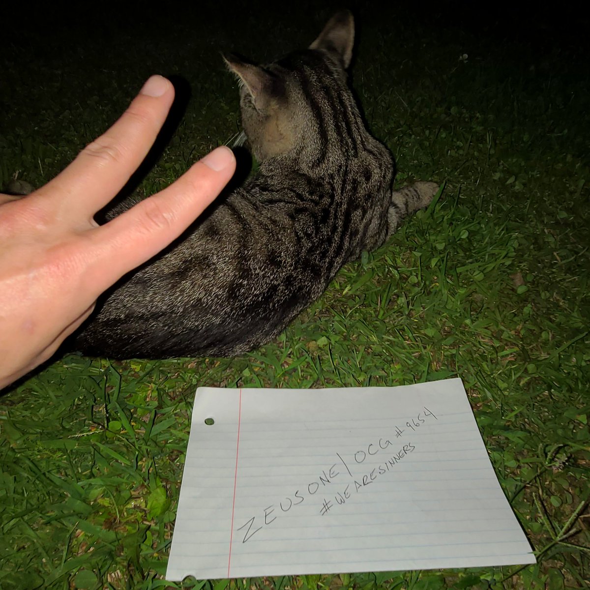 ZeusOne_'s tweet photo. @OperationSin @HatoETH Me and my boy Max like to kick it outside at night. He catches 🦗, I catch vibes 🌲💨 It's a good combo ♥️😺
#SINFreedom
#SINBeastmaster
#WeAreSINNERS
#SINNERSsupportSINNERS https://t.co/88nSyZNzSZ