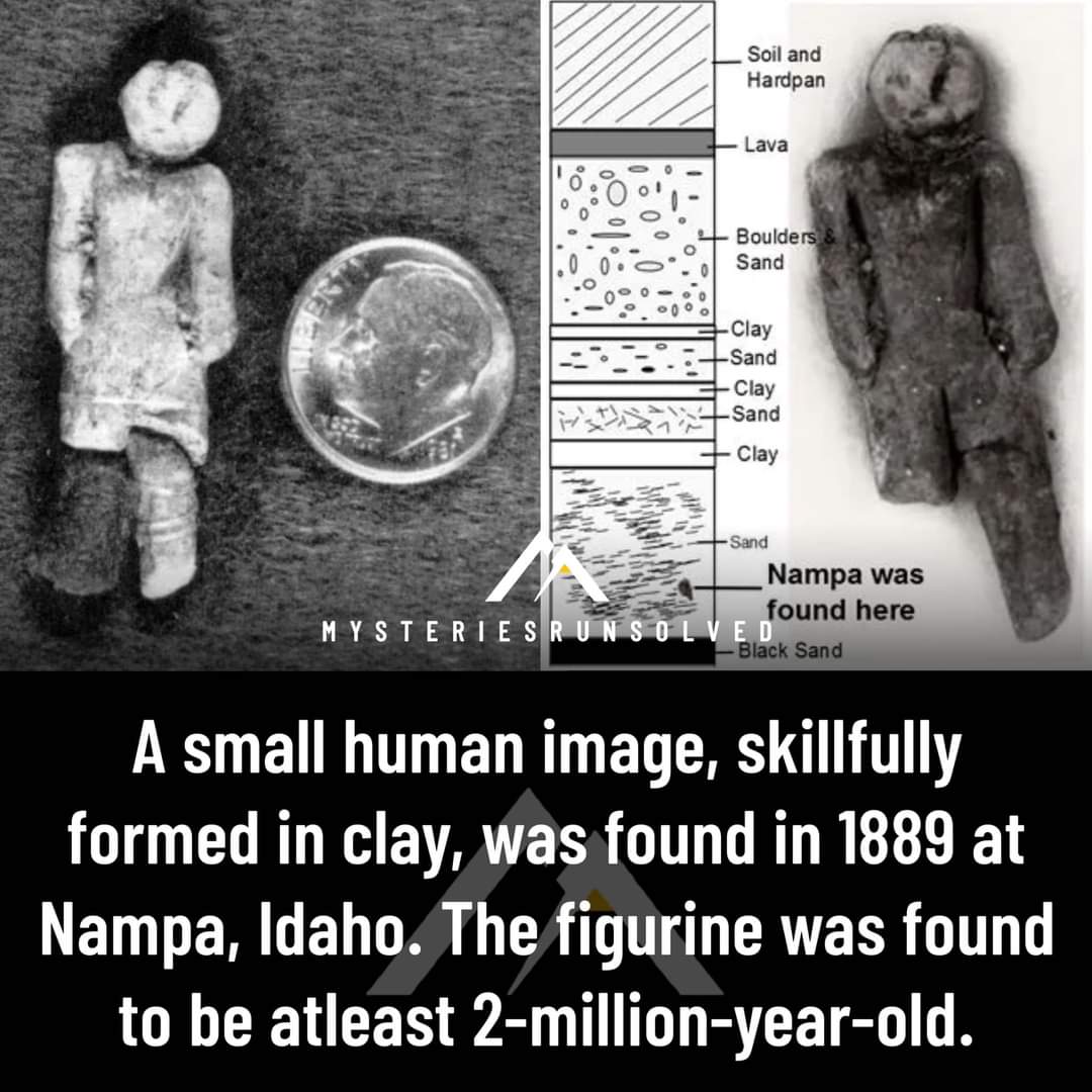 The Real X-Files (@real_files) on Twitter photo 