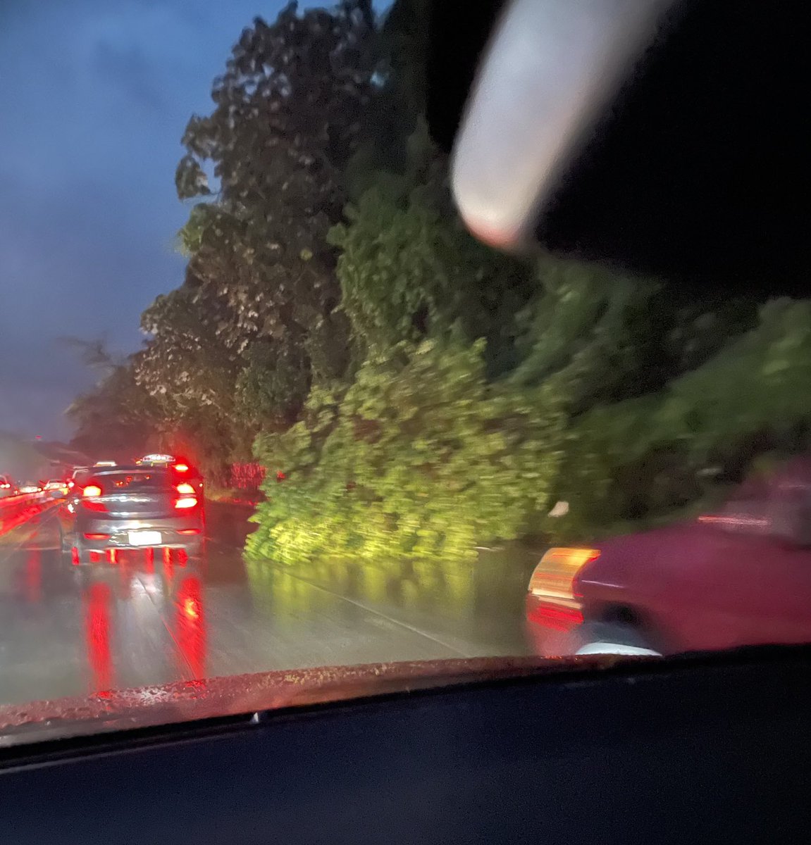 italoemartz_5's tweet photo. Árbol caído en carril bajando los Chorros. Fuerte tráfico ⁦@lexpineda⁩ ⁦@MOISESURBINA⁩ ⁦@alertux⁩ #TraficoSV #TormentaSV https://t.co/zugp5CwWT6