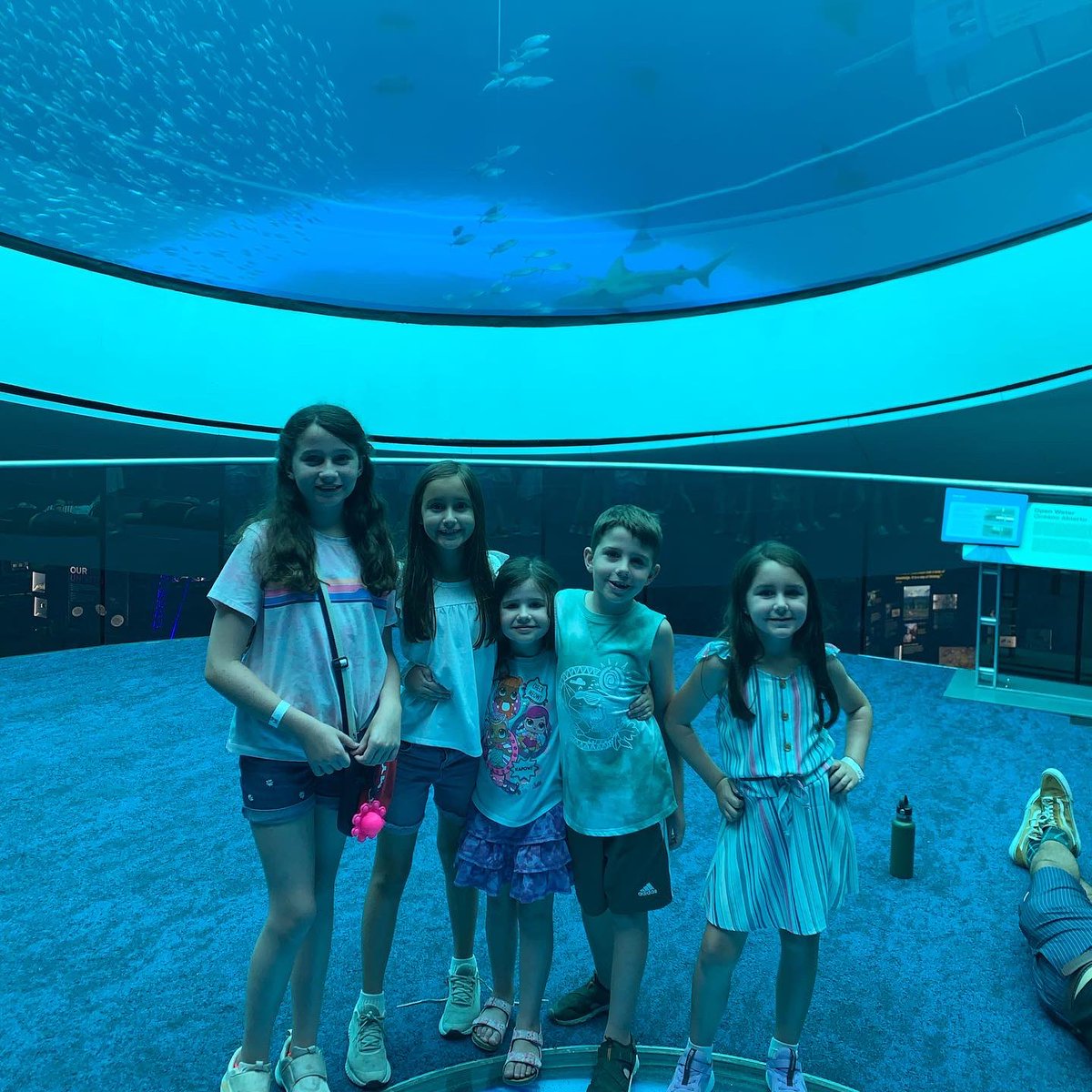 LissetteCBS4's tweet photo. Fun day with my sister and her family exploring @FrostScience museum! #frostscience #frostsciencemuseum https://t.co/qJBxycrXQf