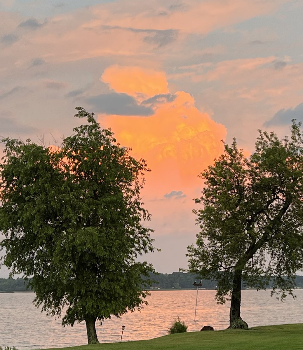 billnielsen's tweet photo. ⁦@TonyPannWBAL⁩ 
Here we are in Sherwood, Md, on the eastern shore after the storms. Lots of rain but little wind and no water spouts.  See two ospreys back on their nest. https://t.co/Ag3HXkfE9b