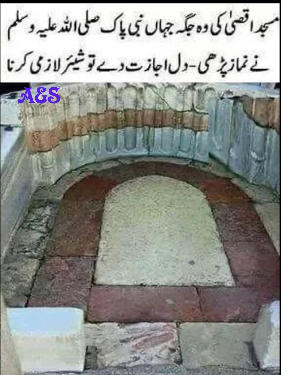 hussain786_fkh's tweet photo. (﷽)  وَرَفَعْنَا لَكَ ذِكْرَكَ ۝ ﷺ https://t.co/pBpXqFBwwh