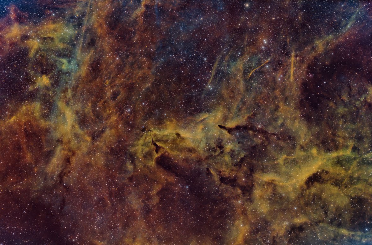 astro_se's tweet photo. The Roots of the Tulip Nebula

Fun little region below the Tulip Nebula in Cygnus.  Just shy of 11 hours total on this one.

Full details at https://t.co/wS0Uw6JzrP https://t.co/2cDnce5biZ