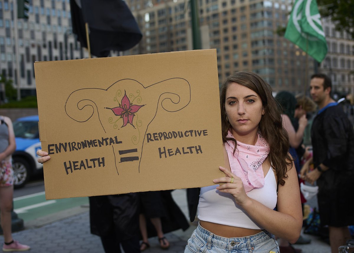 Zachary Schulman tweet media