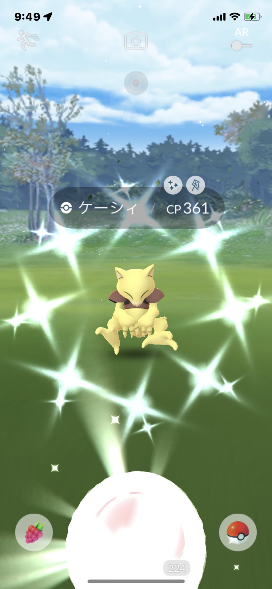 にゎき のるみ ケーシィさん色違いいらっしゃいました ポケモンgo T Co Zbwkbbqrgw Twitter