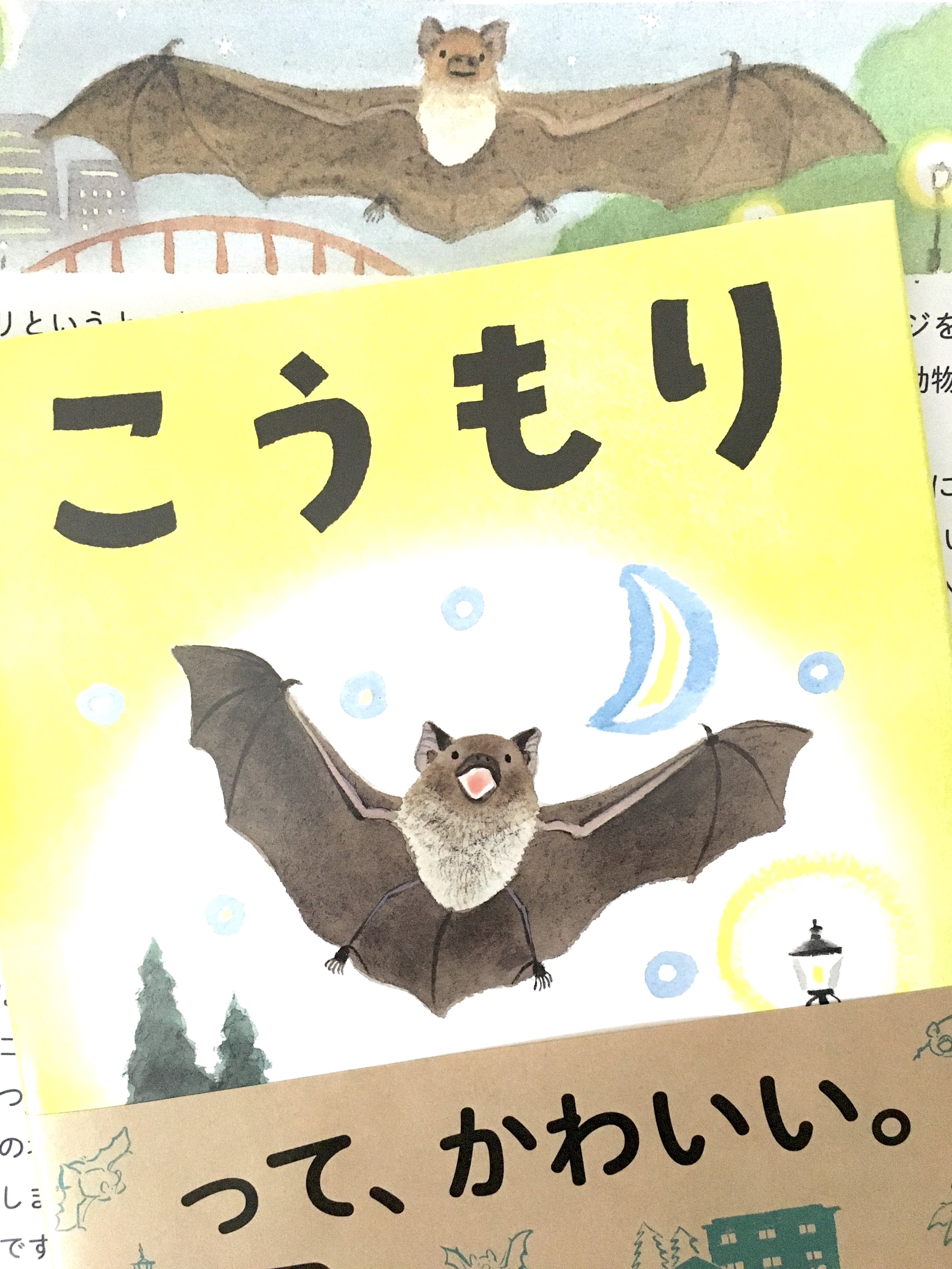 とまり 本日amazonから届きました 優しい筆致でコウモリの不思議や特徴が描かれていて 夜空を見上げてコウモリを探したくなりました 素敵な絵本をありがとう Twitter