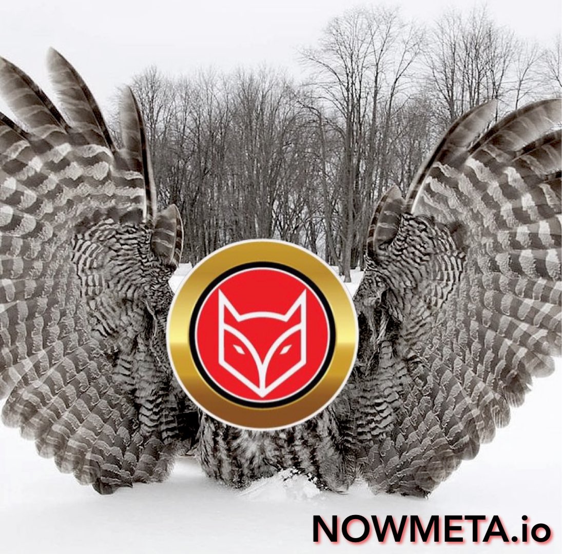 NowMetaArmy1's tweet image. 