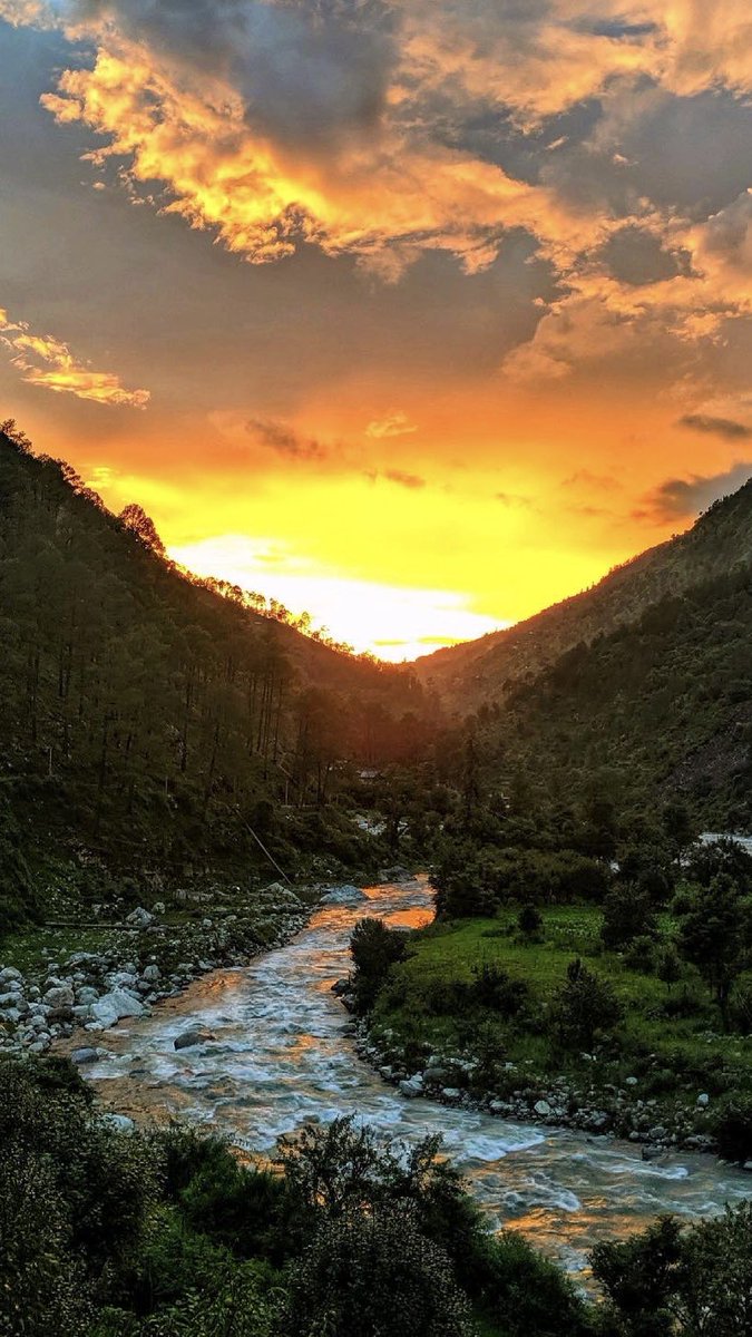 TFETIRTHAN's tweet photo. This Monsoon, chill at The Forest Edge Tirthan Valley Himachal Pradesh-7 book themed rooms, private parking, river across the rod, gazebo to chill, library, elaborate menu and a positive, happy vibe. Book now! Call/whatsapp at 7011366645 to know more https://t.co/rFAUmZbxde