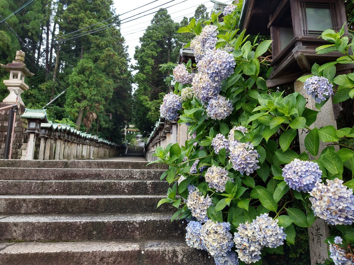 alkalicimage's tweet photo. 宝山寺✨✨ https://t.co/uhYfqkw3sR