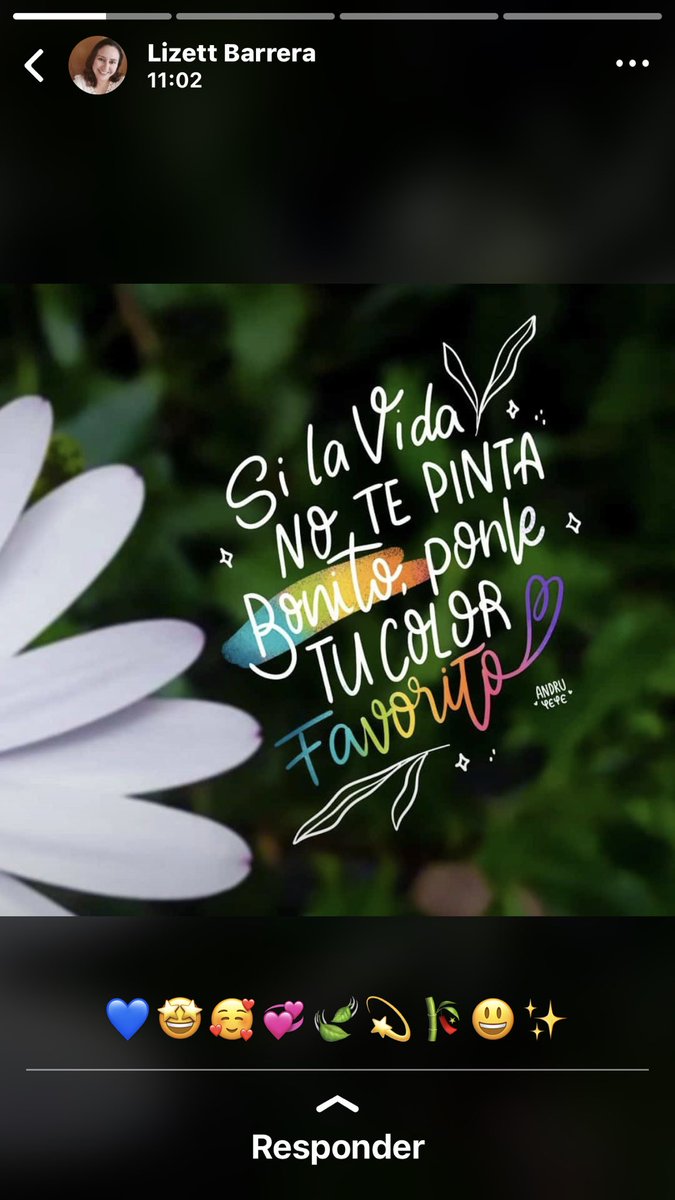 amadeusgarca1's tweet photo. Aveces es padriuris, ponerle el color a la vida #AvecesNO… https://t.co/o8SCjFWBUd