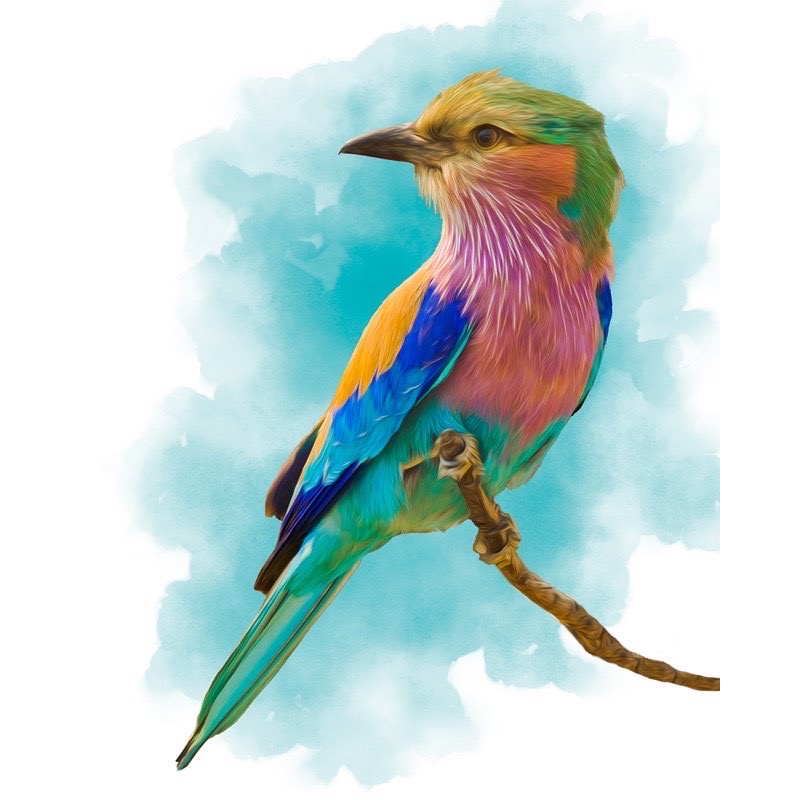 TheOceanBlueart's tweet photo. Introducing the new group of artists to join The Ocean Blue Vault summer collective beginning July 1st. They will be with us for the next three months. 

Larry Salveson is a Software Developer in the San Mateo, CA area. He has enjoyed a lifelong passion for photography. #art #HMB https://t.co/nwNaSxO8ad