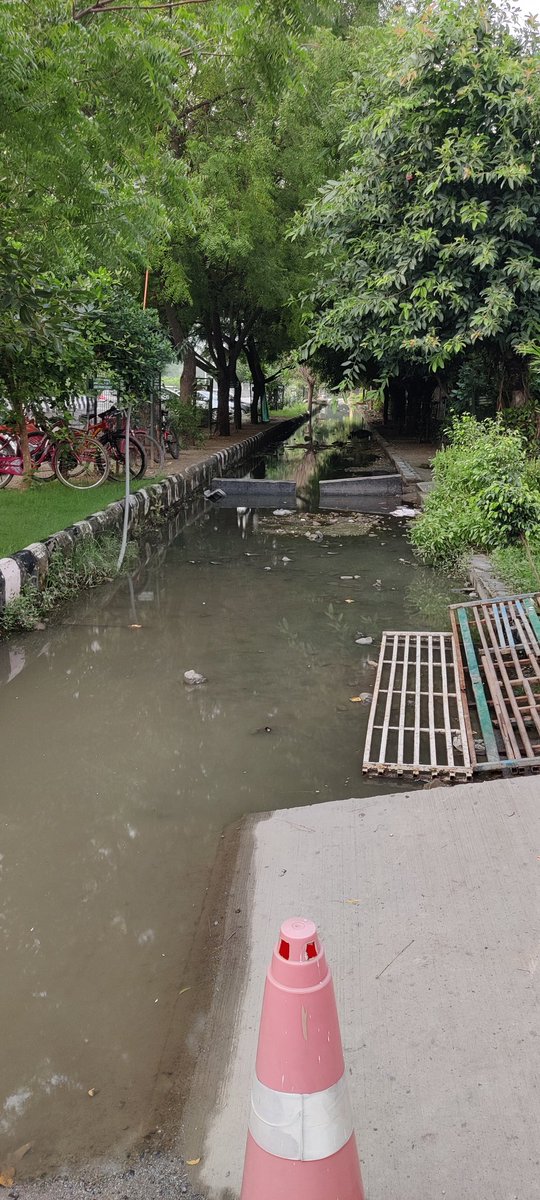 ashishv2142's tweet photo. Dear @myogioffice ji. While you claim #Noida as the cleanest city, this picture is from #GulshanIkebana sector 143, Noida.  #dengue is knocking already, kindly instruct your officials to work. @CeoNoida https://t.co/cCrymCDeI9