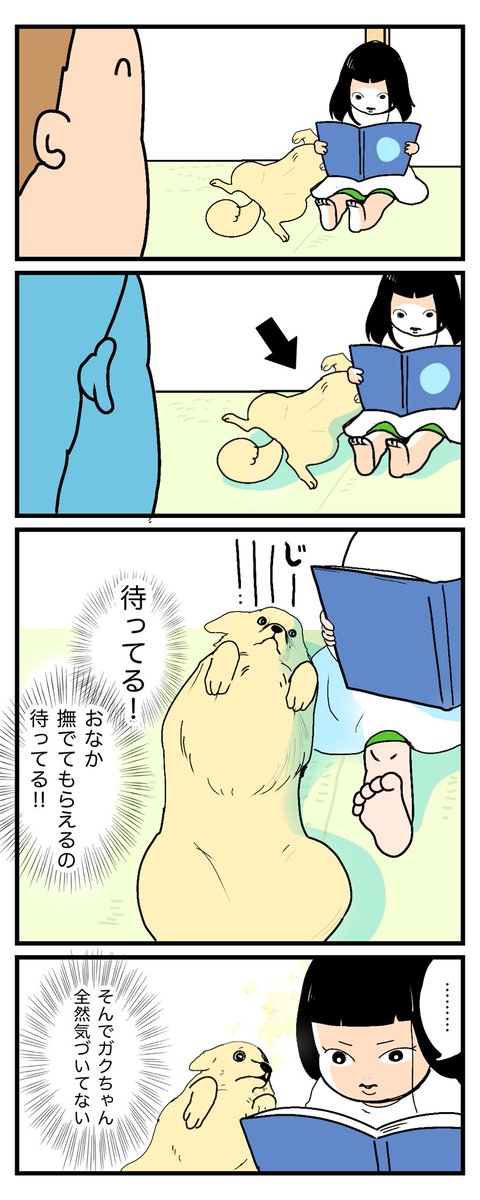 🐕お姉ちゃん(6)に撫でてもらうためずっと待つ犬🐕

https://t.co/SU9Vu17we5 