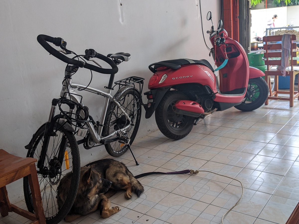 thailao2558's tweet photo. Sai's dog, my bicycle, and the new motorbike. https://t.co/9802RFEt3S