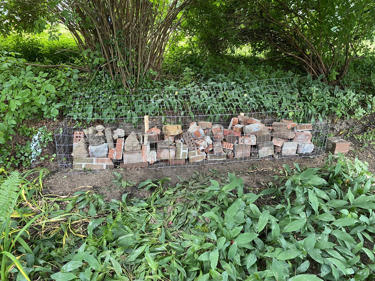colby_krug_716's tweet image. Here in Krug Country, little man and I went to the dump and got some old bricks that would’ve ended up in a landfill, found some river rock and made us a stout retaining wall! #solvingcomplexproblems #engineeringwithnature #honeydolist