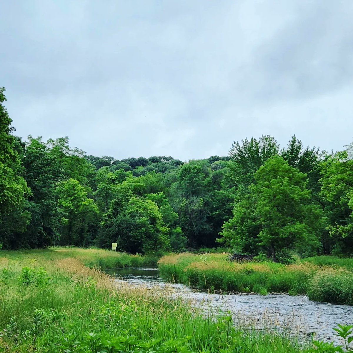 Kensey Schultz tweet media