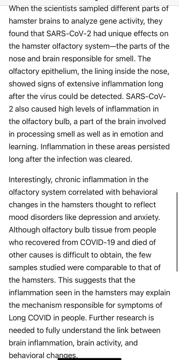 SixandLaura's tweet image. “Further research is needed to fully understand the link between brain inflammation, brain activity, and behavioral changes.”

#SARSCoV2_pathology
#animal_model (hamsters)

#brain_injury #encephalitis #longcovid #mood_disorders #olfactory #sensory #processing #emotion #learning