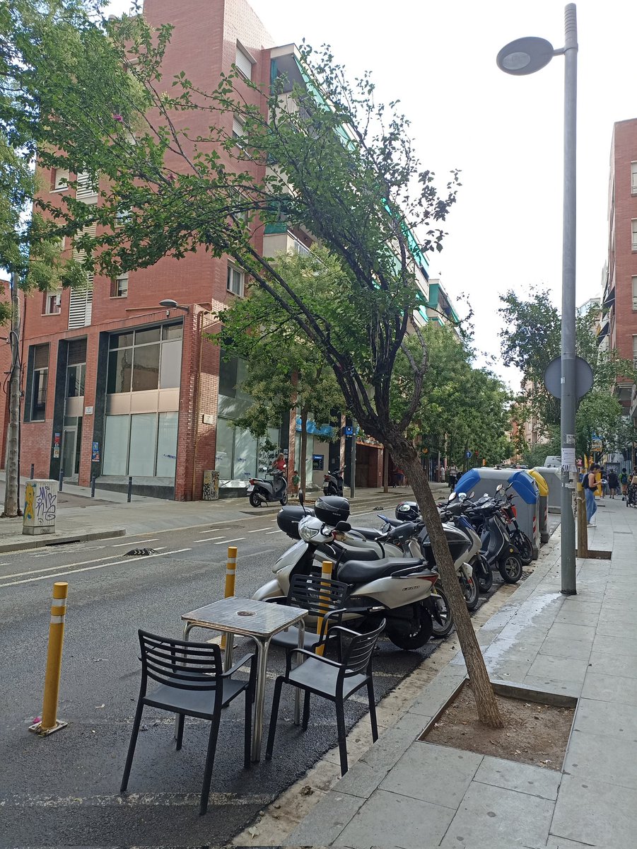 I el dia que caiguin potser ho lamentarem . Qui fa el manteniment de l'arbrat?
 <a href="/BCN_SantsMont/">Districte de Sants-Montjuïc</a> <a href="/bcn_ajuntament/">Ajuntament de Barcelona</a> <a href="/BCN_Ecologia/">BCN_Ecologia</a> <a href="/Barcelonaesque1/">Barcelonaesqueixa</a>
<a href="/BcnXTothom/">BarcelonaXTothom</a> <a href="/OnVasBarcelona/">On Vas Barcelona (Stop Collboni/Colau)</a> <a href="/puntdesants/">Punt de Sants</a> <a href="/SantsTV/">@santstv@mastodont.cat Sants*TV</a> <a href="/sants3radio/">sants3radio</a> 
Carrer de la Constitució, davant la Ludoteca Olzinelles